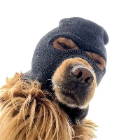 SKI MASK DOG