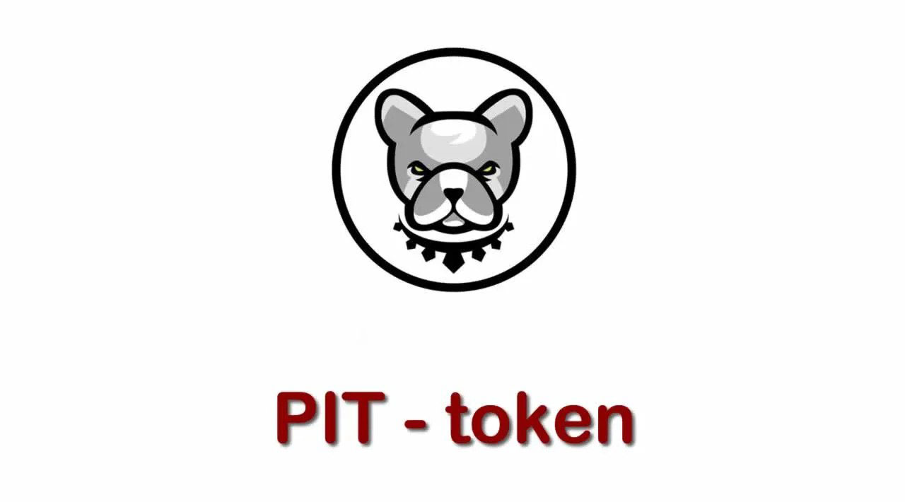 فروش و خرید ارز دیجیتال پیت بول
